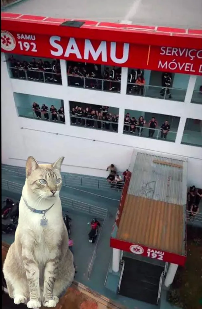 Foto