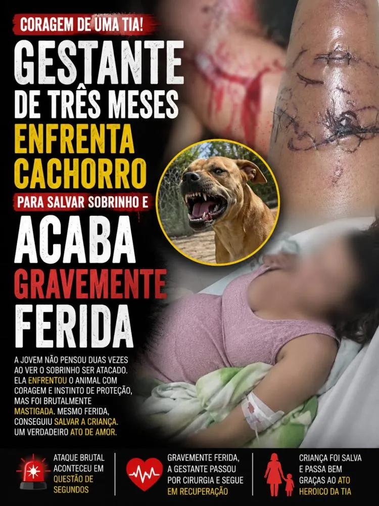 Gestante de três meses enfrenta cachorro para salvar sobrinho e acaba gravemente ferida em Rio Branco
